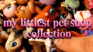 My Littlest Pet Shop Collection- I was a LPS youtuber