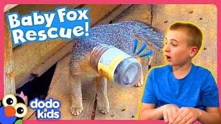 Fox’s Head Is Stuck In A Peanut Butter Jar! Someone Help! | Dodo Kids | Rescued!