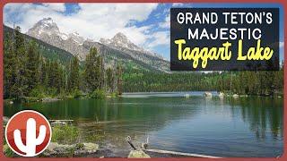 Hiking Splendor: Discovering Taggart Lake's Tranquil Trails in Grand Teton National Park