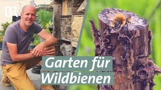 Artenvielfalt im Wohngebiet - Garten für Wildbienen