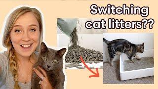 Switching Cat Litters - Everything You Need to Know