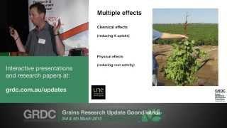 Grains Research Updates 2015 | Goondiwindi | Managing nutrition in sodic soils - C. Guppy