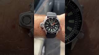 #shorts Citizen Promaster Aqualand #citizen #diver