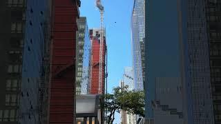 A crane collapse after catching fire and damage a other building in Manhattan, New York.