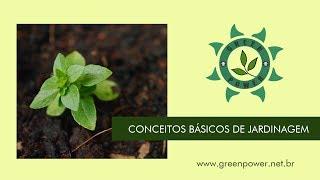 Checklist: Conhecimentos Básicos sobre Jardinagem Cultivo Indoor Green Power Grow