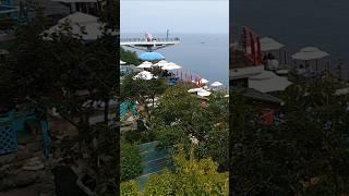 지금은 달동네지만 이상은 바다. 묵호