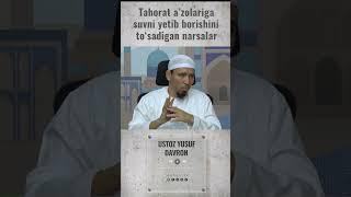 Tahorat a’zolariga suvni yetib borishini to‘sadigan narsalar #muhsintv #shorts #ustoz_yusuf_davron