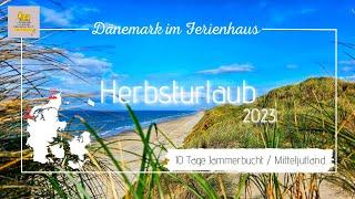 Dänemark Herbst 2023 -  10 Tage Ferienhaus - Vom Mondfisch, einer Wanderdüne und ganz viel #hygge