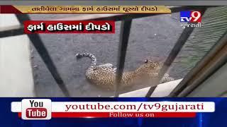 GirSomnath: Leopard enters farm house in Tativela village near Veraval- Tv9