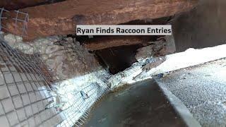 Always Investigating | Raccoon Entries Found