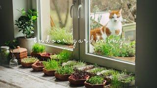 #35 Grow Vegetables Indoors: Microgreens & Sprouts - From Seed to Harvest