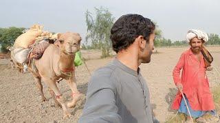 Old man selling multani mitti