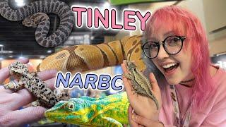 BIGGEST Reptile Expo in THE US! + My New Rare Lizards! - NARBC