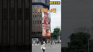 삿포로 6월 모습 _ Sapporo June #일본자유여행 #삿포로 #오타루
