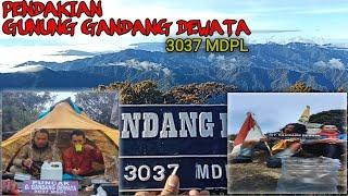 7 days of climbing Mount Gandang Dewata, the highest mountain in West Sulawesi, just TWO,