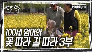 마침내 출발한 100세 여행! 야속하게 먼저 떠난 아들도 잠시 만나러 가고, 어머니가 오랜 시간 노점 장사를 했던 국제시장도 들른다 [인간극장] KBS 250528 방송