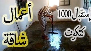 تربية الدجاج - استقبال صيصان الدجاج 1000 صوص