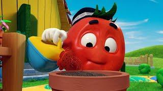 TOMATO DOPPI EPISODES  Garden  FOR KIDS