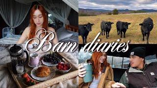 The barn cottage diaries | Weekly cozy home vlog | Thanksgiving week, shopping, working, art studio