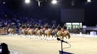 La Garde Républicaine au Salon du Cheval de Paris 2011.