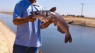 Biggest Fish Of The Fall Fishing Season.. Central Valley California