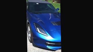 Corvette Stingray Meets Eco-Friendly Innovation: Seth Leitman, Green Living Guy Takes for Joyride!