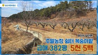 경산시 남산면 전지리 저렴한 급매 토지 / 382평 5천5백 / 주말농장 주말쉼터 추천