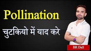 Pollination in Crops Part-I (चुटकियों में याद करें) || BR Dall Sir