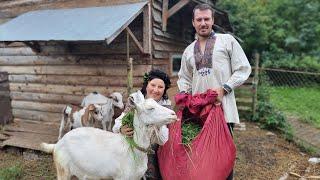 BREAKFAST IN UKRAINIAN VILLAGE! UNIQUE LIFE IN THE MOUNTAINS