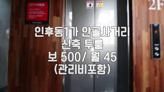 [전주소호건설투룸] 전주럭셔리투룸 전주안골사거리투룸 전주인후동1가투룸 전주대리석투룸 전주인후동엘베이터있는투룸 전주부동산 전주리빙부동산