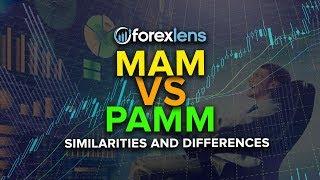 MAM vs. PAMM Account in Forex Trading (Similarities & Differences)