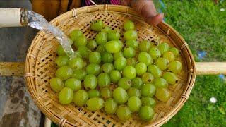 Angoor Ki Khatti mithi chutney|Grapes Tasty Recipe