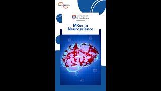 MRes in Neuroscience @universityofstandrews #standrews #neuroscience #neurology #studyuk #study