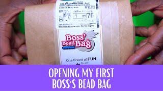 Opening My First Boss' Bead Bag From Fire Mountain Gems!  Watch ME Sift Through It For Treasure!