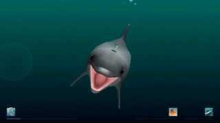 "I Am Dolphin" iOS Gameplay Video - Bandit vs 2 Herring & 3 Mullet