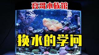 【亮哥养鱼】错误的换水居然会酿成大祸！亮哥这次讲的真到位！