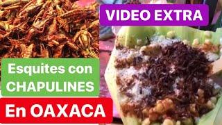 Esquites con CHAPULINES en hoja de elote en Oaxaca