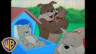 Tom et Jerry en Français  | Le meilleur papa chien  | Fête des pères | WB Kids Français​