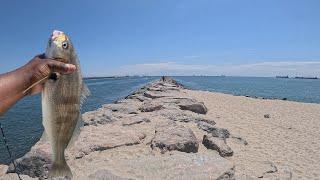 Jetty fishing in long Beach California (my first time using this bait and method)