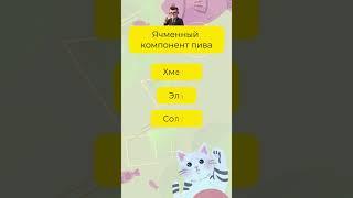 7 вопросов на общую эрудицию