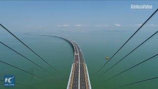 World's longest sea bridge! Hong Kong-Zhuhai-Macao Bridge to boost logistics