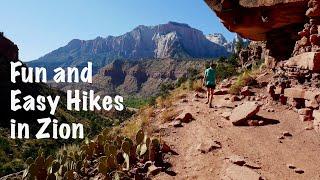 Some of The Best EASY Hikes in Zion! | The Watchman & Canyon Overlook Trails | Zion National Park!