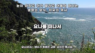 요나를 떠나서 - 요나서 6편 -생수가 흐르는교회 김이진목사님설교  Away from being Jonah -Jonah Part 6 -Rev.Ijin Kim