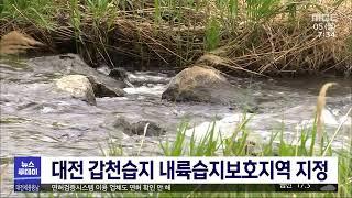 대전 갑천습지 내륙습지보호지역 지정/대전MBC