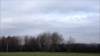 RC MICROKITE PARAGLIDER STRUGGLING IN WIND AND COMES DOWN IN A TREE