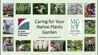 Caring for your Native Plants Garden