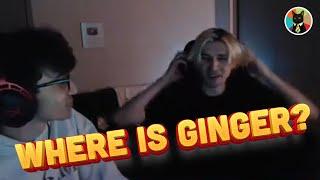 Omie asks "Where is Ginger" to X