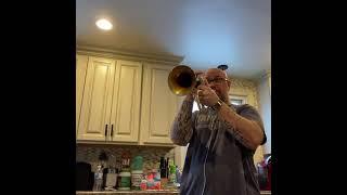 Schilke Flugelhorn in the kitchen