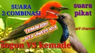 Sogok ontong VS Kemade suara dua kombinasi yang terbaik