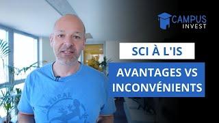 SCI à l'IS avantages et inconvénients #CampusInvest